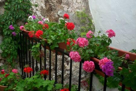 Casa con encanto, escapadas románticas  Salobreña Exterior foto
